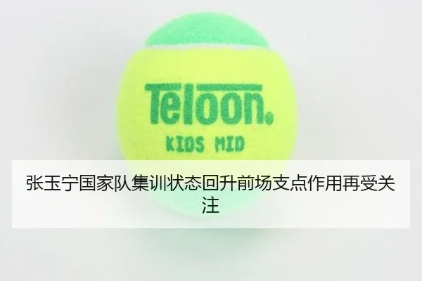 张玉宁国家队集训状态回升前场支点作用再受关注
